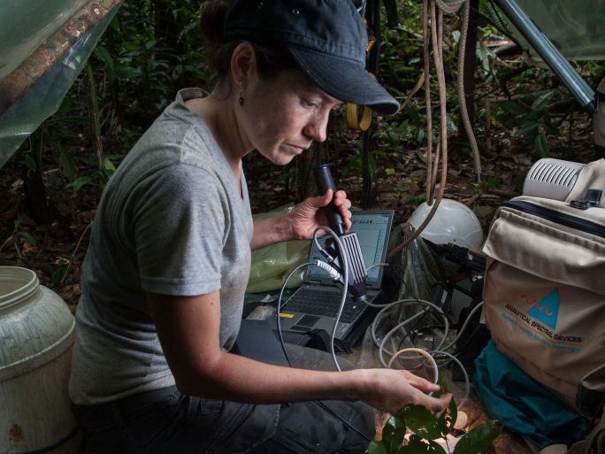 Field spectroscopy fieldwork